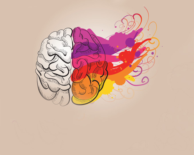 audiodescrição: ilustração de cérebro, um lado está branco e outro lado colorido